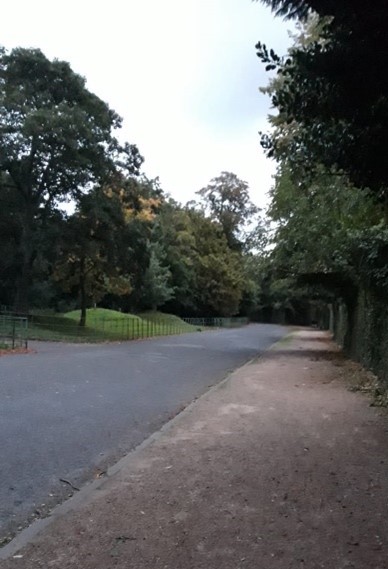 Active You - Our First Steps Challenge!