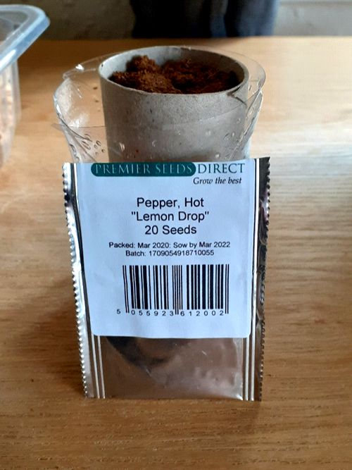 seeds6